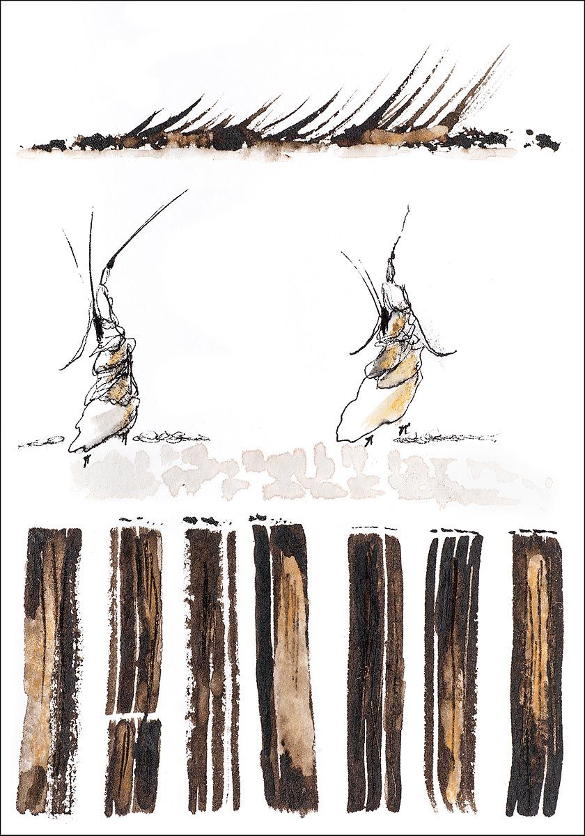 Philippe Quoturel : carte postale "Le petit monde des Opilants" série 2 (2019)