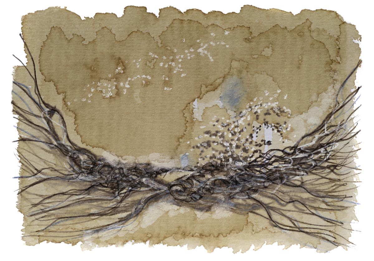 Philippe Quoturel : carte postale "Le petit monde des Opilants" série 3 (2021)